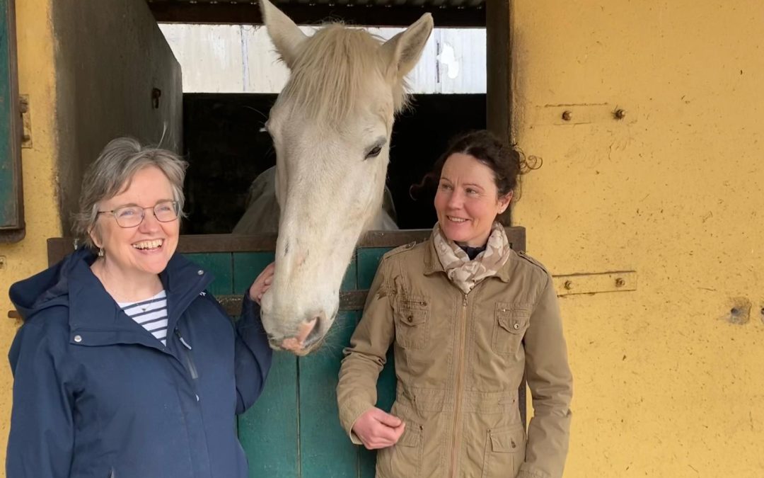 Transforming Lives Through Horses: A Clare Social Enterprise delivers positive change